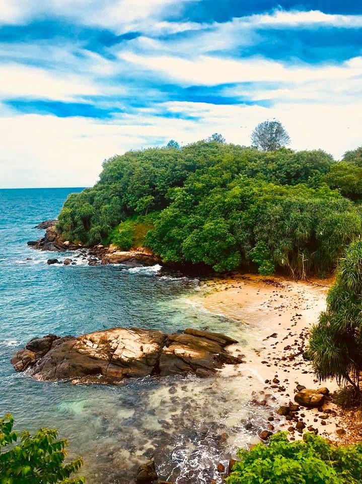 Jungle Beach